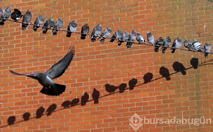 Harika doğa fotoğrafları