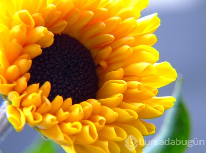 Harika doğa fotoğrafları