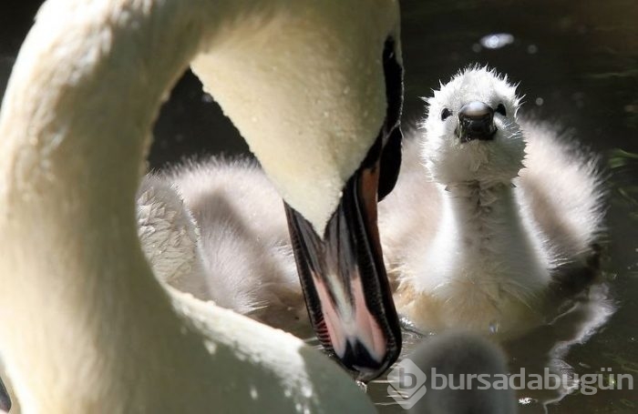 Harika doğa fotoğrafları