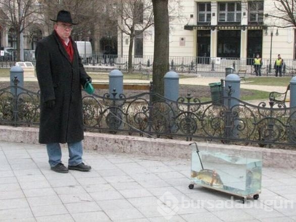 İşte internetin en çok paylaşılan fotoğrafları

