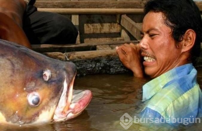 İşte internetin en çok paylaşılan fotoğrafları
