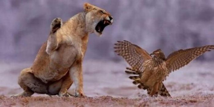 İşte internetin en çok paylaşılan fotoğrafları
