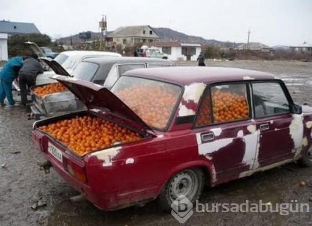 İşte internetin en çok paylaşılan fotoğrafları
