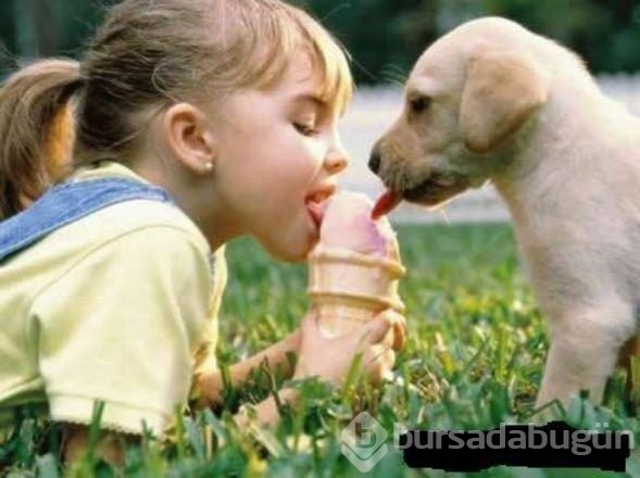 İşte internetin en çok paylaşılan fotoğrafları
