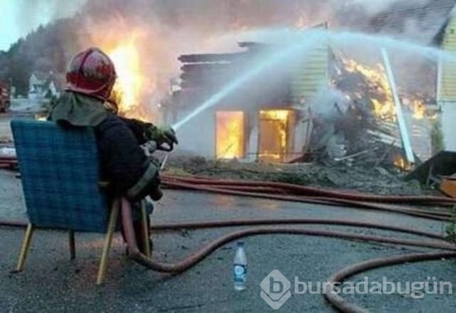 İşte internetin en çok paylaşılan fotoğrafları
