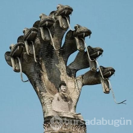 İşte internetin en çok paylaşılan fotoğrafları
