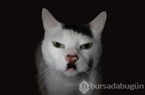 Doğum lekesi mi, ulvi bir işaret mi?