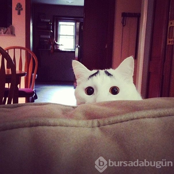 Doğum lekesi mi, ulvi bir işaret mi?