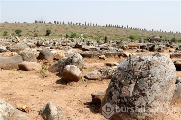 Hatay'da Kayı Boyu damgalı mezar taşları bulundu