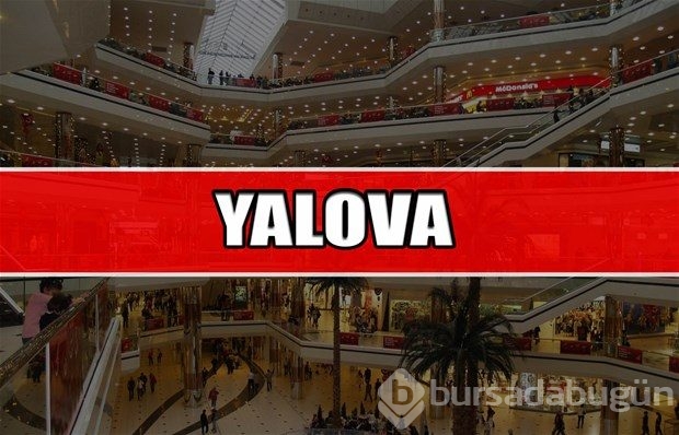 Hangi ilde kaç AVM var?