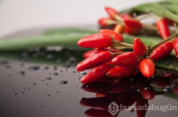 Acı biber yiyince vücudumuzda neler oluyor?