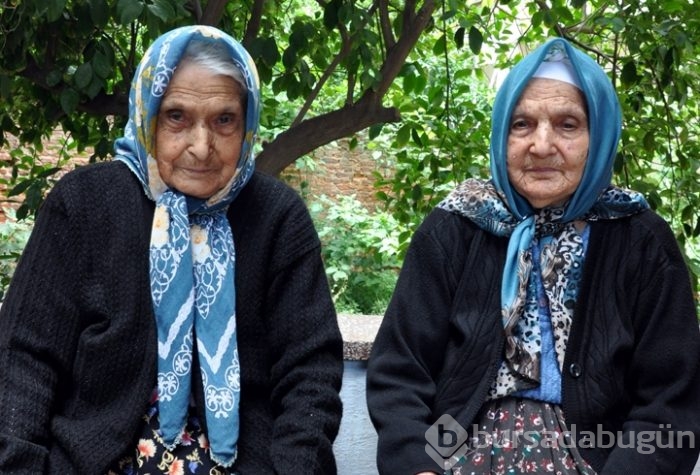 Türkiye'de 100 yaş ve üzerinde 5 bin 293 kişi var