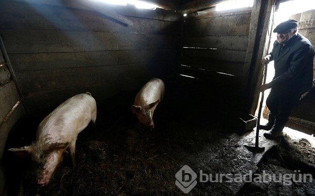 Nükleer felaketten sonra geride bir tek o kaldı

