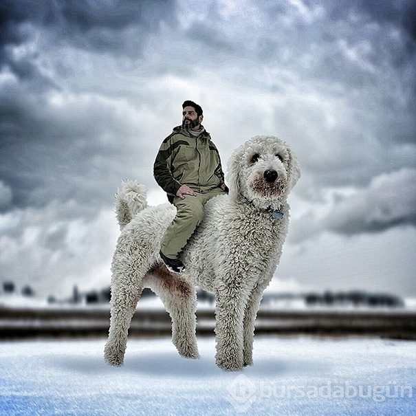 Dev köpeği ile hayallerini yaşıyor!

