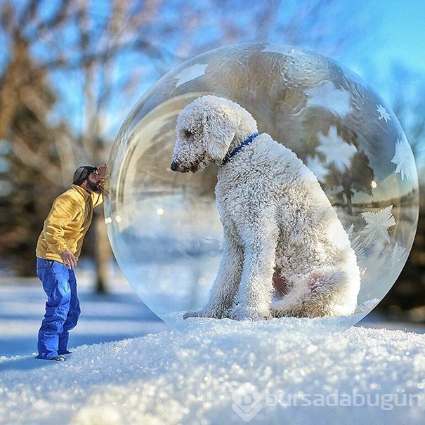 Dev köpeği ile hayallerini yaşıyor!
