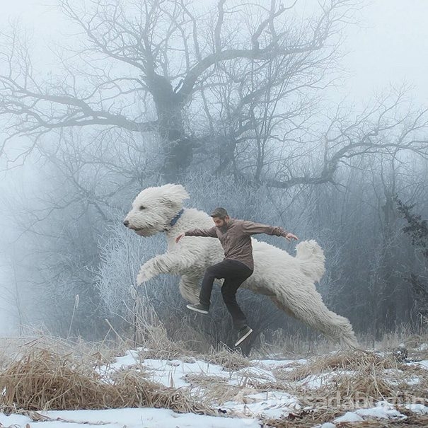 Dev köpeği ile hayallerini yaşıyor!

