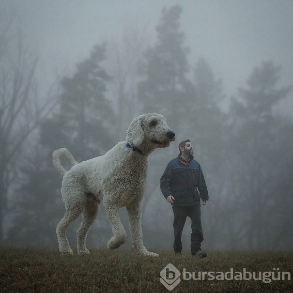Dev köpeği ile hayallerini yaşıyor!
