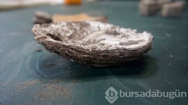 Elektrik döşerken servet buldu