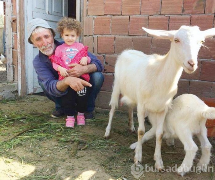 Farmville gerçek oldu