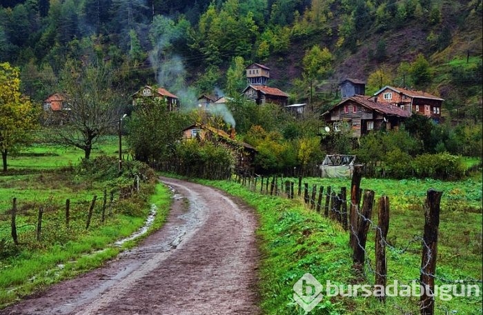 Farmville gerçek oldu