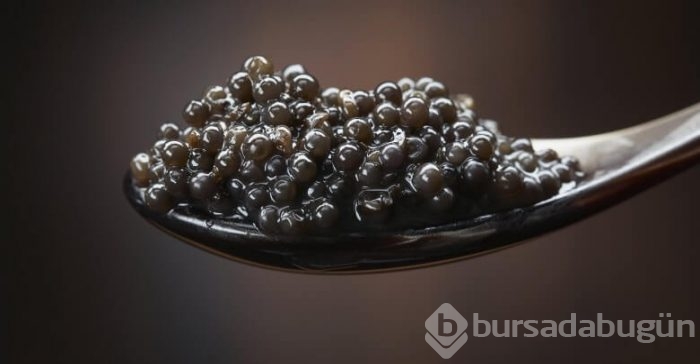 Nadir bulunan ve en pahalı gıdalar
