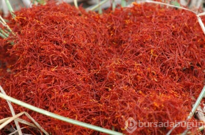 Nadir bulunan ve en pahalı gıdalar