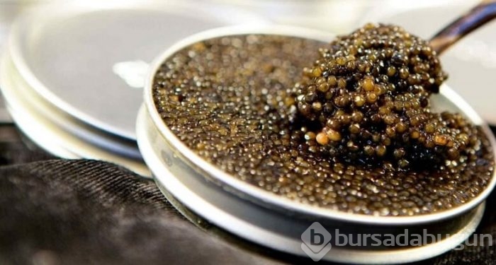 Nadir bulunan ve en pahalı gıdalar