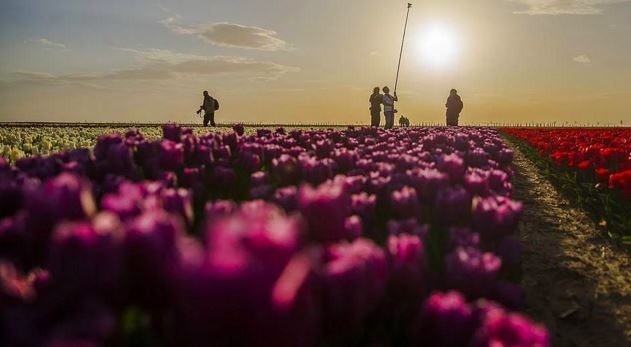 Burası Hollanda değil burası Konya!