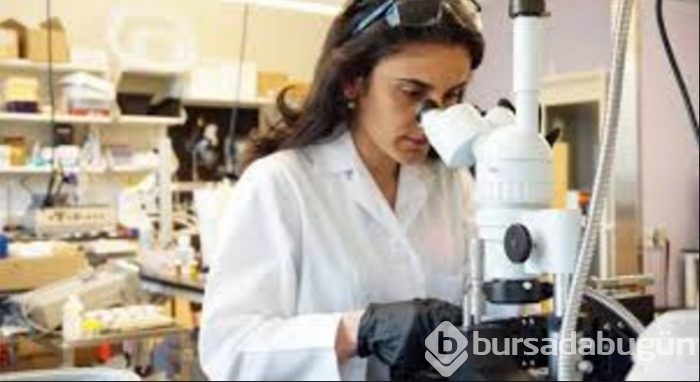 Çılgın Türk kızı 32 yaşında MIT'de profesör oldu
