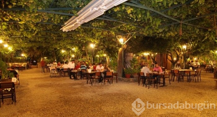 Mangalın 10 adresi