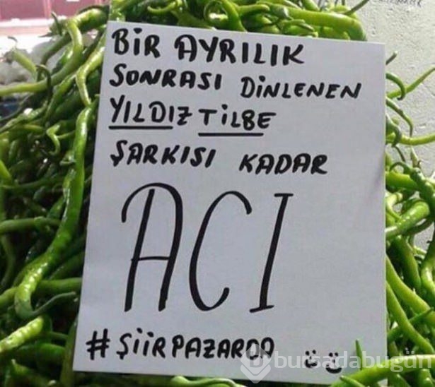 Bu yazıları görenler şaştı kaldı!
