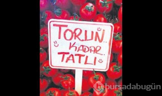 Bu yazıları görenler şaştı kaldı!