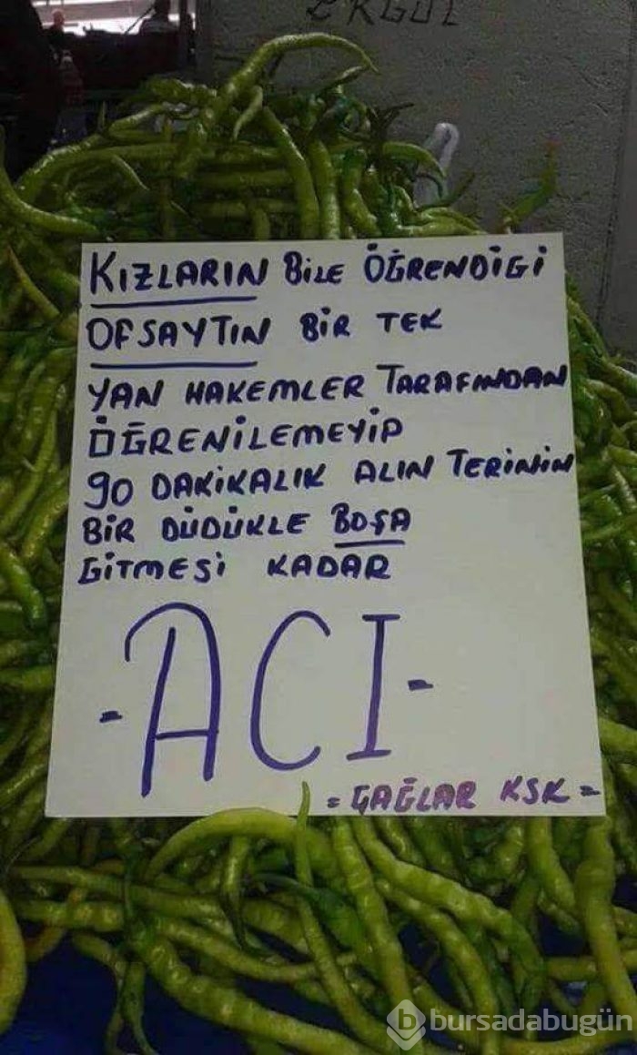 Bu yazıları görenler şaştı kaldı!