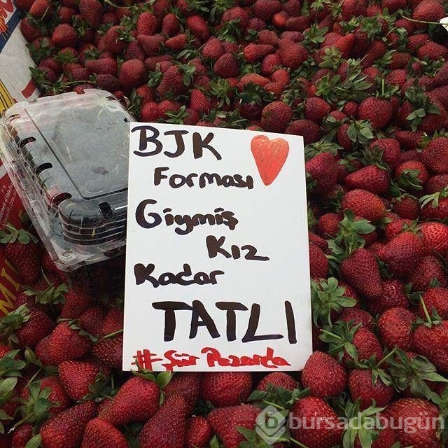 Bu yazıları görenler şaştı kaldı!