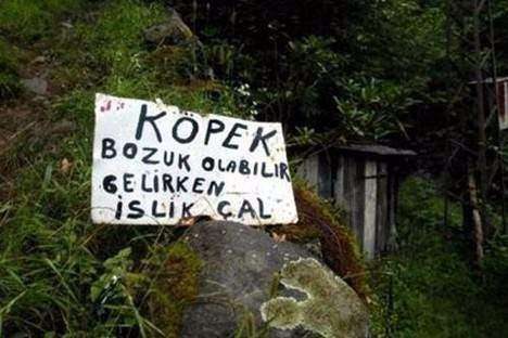Bu yazıları görenler şaştı kaldı!