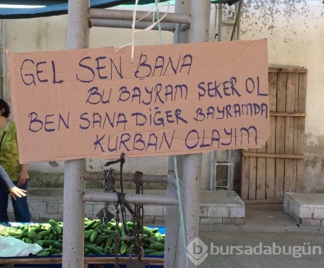 Bu yazıları görenler şaştı kaldı!