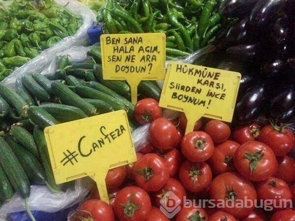Bu yazıları görenler şaştı kaldı!