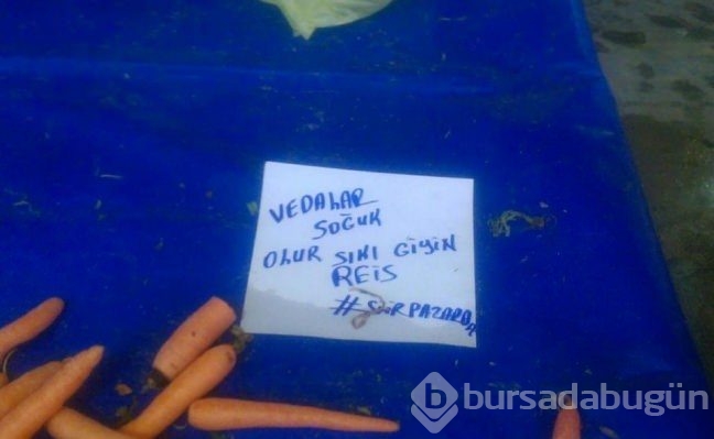 Bu yazıları görenler şaştı kaldı!
