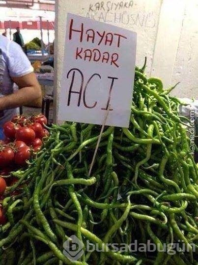 Bu yazıları görenler şaştı kaldı!