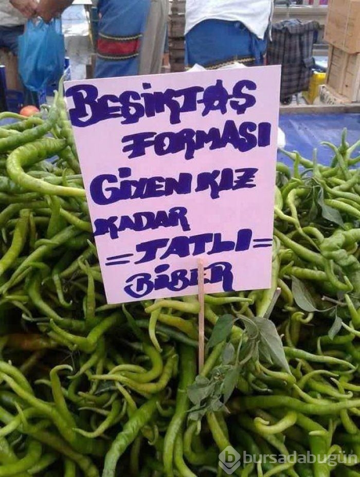 Bu yazıları görenler şaştı kaldı!