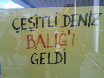 Bu yazıları görenler şaştı kaldı!