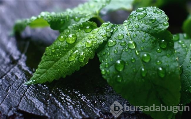 Mutfakta hayat kurtaran 12 öneri