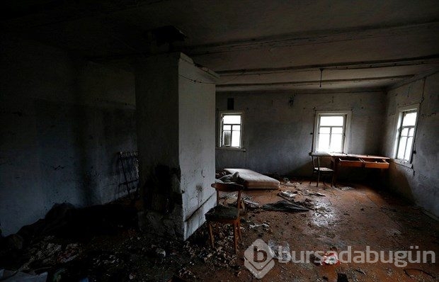Nükleer felaketten sonra geride bir tek o kaldı