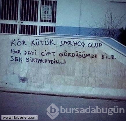 Yurdum insanından efsane duvar yazıları