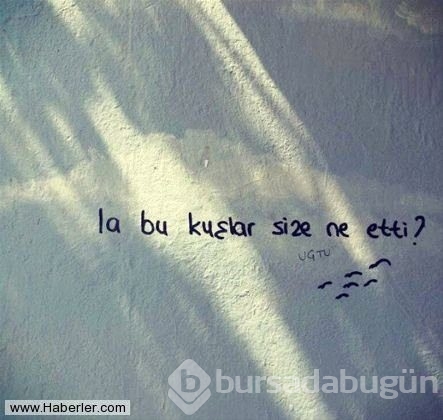 Yurdum insanından efsane duvar yazıları