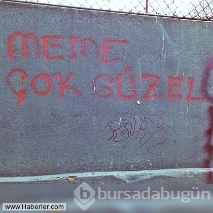 Yurdum insanından efsane duvar yazıları