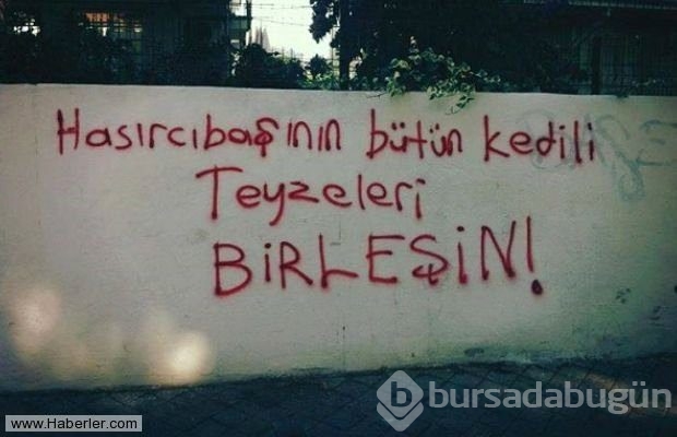 Yurdum insanından efsane duvar yazıları
