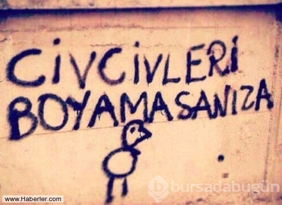 Yurdum insanından efsane duvar yazıları