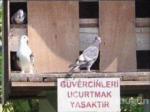 Kilo kilo şiir!
