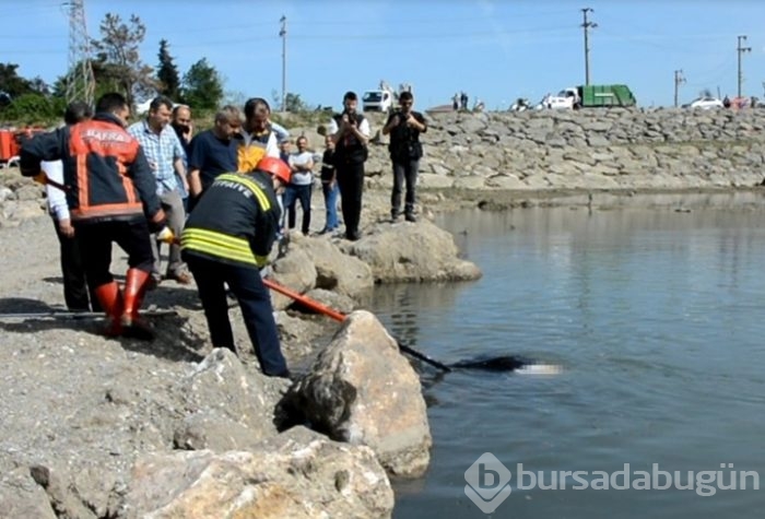 20 dakika suyun altında kaldı ama yaşama döndü